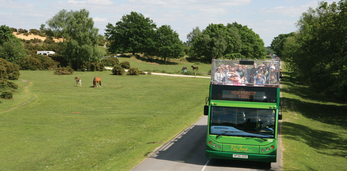 New Forest open top bus
