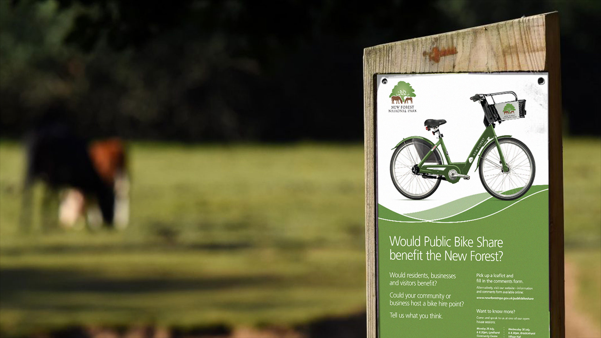 New Forest National Park poster